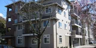 Midtown Apartments Gallery 1