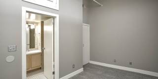 Greenhouse Gallery 46