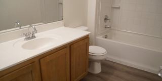 494 Newberry Springs Drive Gallery 29