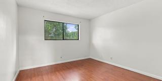 6180 PINE TREE Lane Gallery 1