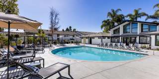 Vista Waterleaf Apartments Gallery 36