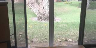 10875 Lake Front Place Gallery 19