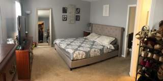 2248 Rebecca Circle Gallery 1
