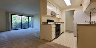 Conveniently located South Kirkland near Downtown-Laurel Park Gallery 4