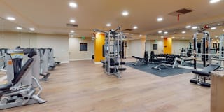 Ferrante Ferrante Gallery 10