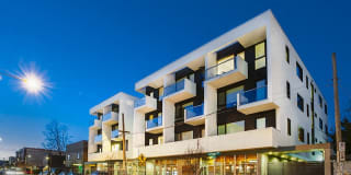 Anthology on Division Gallery 1