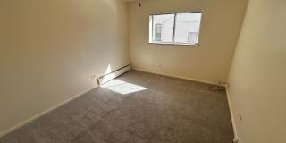 Ogden Arms Gallery 13