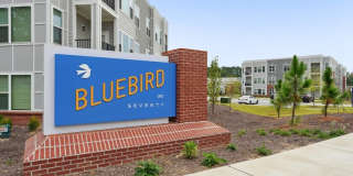 Bluebird on Seventy Gallery 39