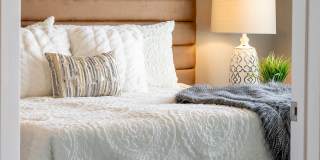 Technology Park Gallery 19