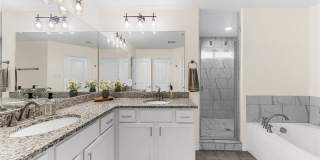 209 Slippery Elm Drive Gallery 12