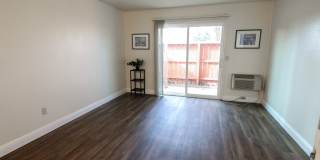 Peppertree Apartments Gallery 4