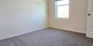 31375 PENNY SURF LOOP Gallery 12