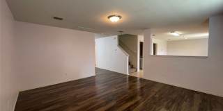 2801 Mockingbird Street Gallery 7