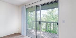 Forest Ridge Gallery 33