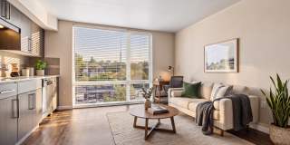 1711 Apartments Gallery 2