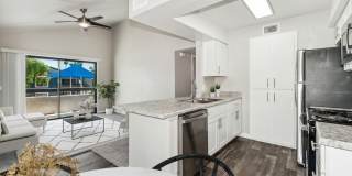 Palms at South Mountain Gallery 5