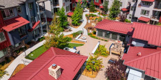 Mountain Trail Gallery 21