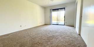 Single Level with Nature Reserve Views! Single Level with Nature Reserve Views! Gallery 14