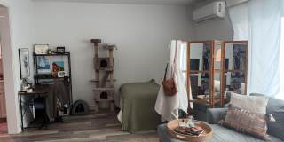 1311 WERTLAND ST Gallery 1