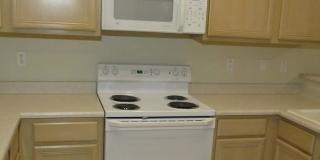 Unfurnished, 1-year long-term rental Gallery 16