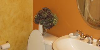 458 Christensen Lane Gallery 15
