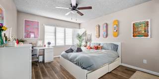 No back house! Gallery 7