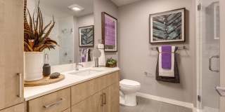 Windsor Queen Anne Gallery 20