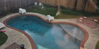 Uptown 1 Bedroom, 1 Bath, Swimming Pool, 1 block from St. Charles Gallery 11