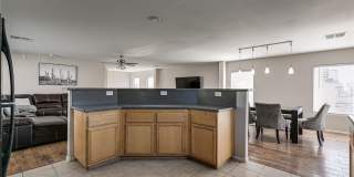 3123 ALDER GROVE Court Gallery 8