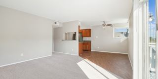 Lake Houston Pines Gallery 1