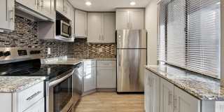 ReNew Washington Park Gallery 1