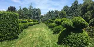 1685 Peconic Lane Gallery 22