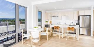 River Point Gallery 15