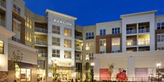 Avalon Hunt Valley and Hunt Valley West Gallery 40