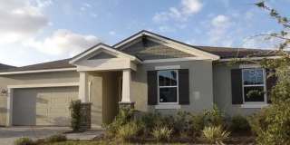 897 Honey Petal Ln Gallery 1