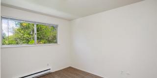 Sugar Pine Gallery 18