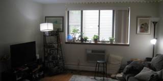 25 Linden Ave. Gallery 3