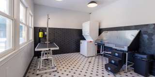 Canter Chase Gallery 17