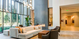 The Chestnut Gallery 12