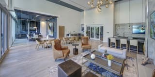 Alluvion Las Olas Alluvion Las Olas Gallery 52