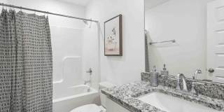 Elio at Research Park Homes for Rent Gallery 7