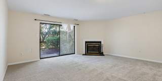 Bethesda Gallery 16