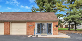 Linden At Elmtree Gallery 12