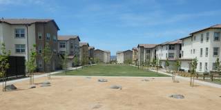 Pacific Landing Gallery 4