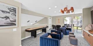 Allina La Jolla Gallery 21