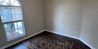28724 Hanging Moss Loop Gallery 12