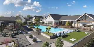 Foxtail by Banyon Gallery 1