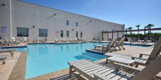 The Tree Apartments Gallery 55