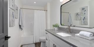 River Birch Apartments Gallery 9