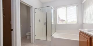 8277 Brilliant Pompon Place Gallery 17